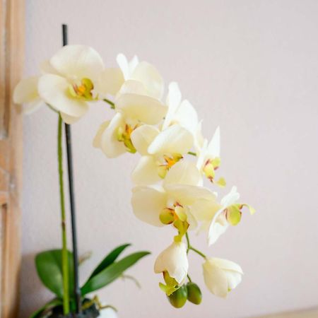 La Rosa Dei Venti Bed & Breakfast Villasimius Ngoại thất bức ảnh