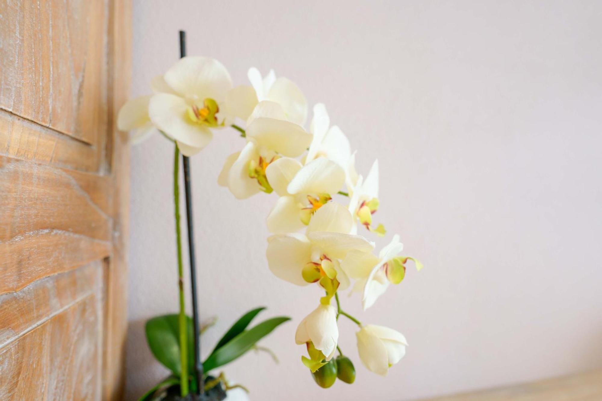 La Rosa Dei Venti Bed & Breakfast Villasimius Ngoại thất bức ảnh